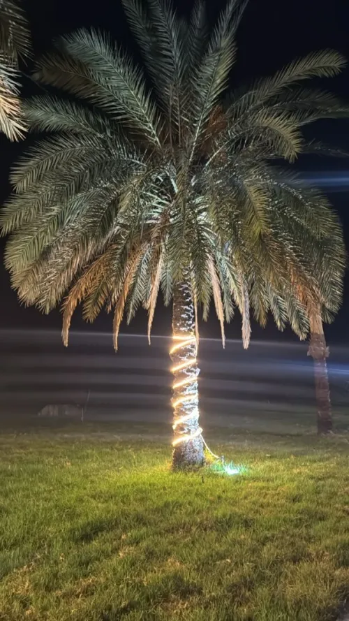 تهيئة المساحات الخضراء