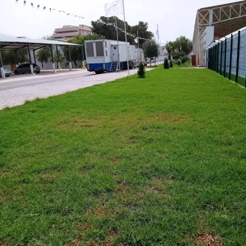 تهيئة المساحات الخضراء