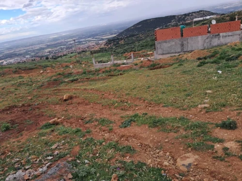 Vente Terrain Blida Mouzaia