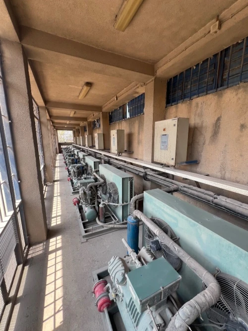 Vente Hangar - Usine Alger Oued smar
