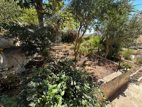 Vente Villa Alger Hydra