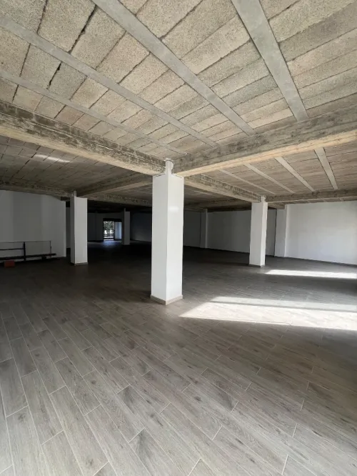 Location Immeuble Alger Dely brahim