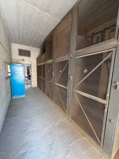 Location Hangar - Usine Alger Oued smar