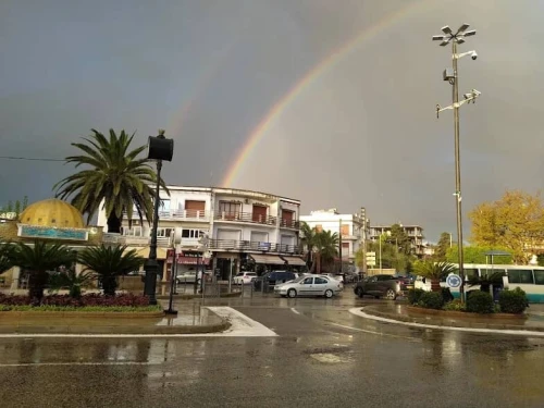 Location Appartement Studio Alger Hydra
