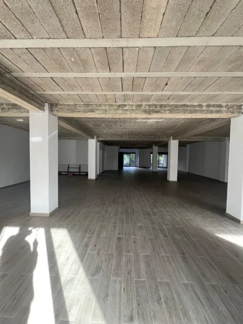 Location Appartement Alger Dely brahim