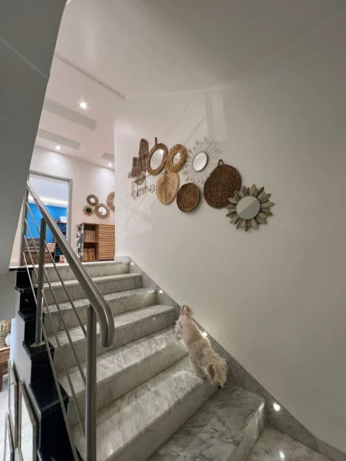 Vente Villa Alger Draria