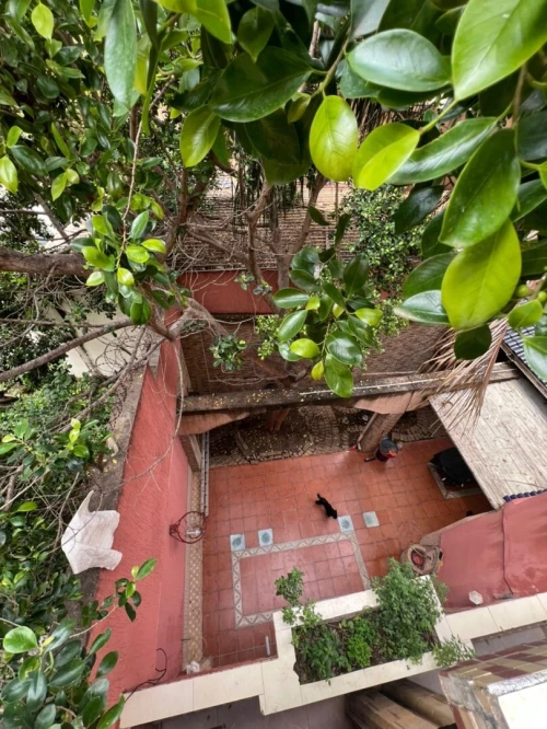Vente Villa Alger Saoula