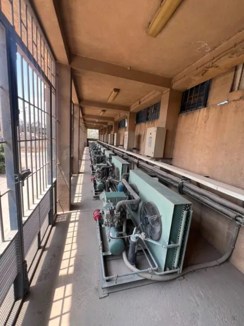 Location Hangar - Usine Alger Oued smar