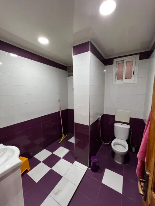 Location Appartement Niveau de villa F10+ Alger Birkhadem