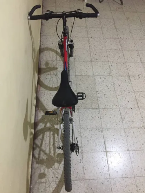 velo orbea