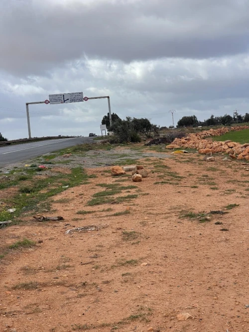 Vente Terrain Agricole Aïn Témouchent Chaabet el ham