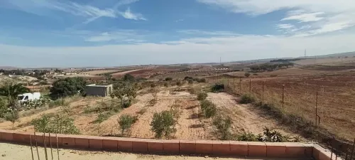 Vente Terrain Agricole Aïn Témouchent Ouled kihal