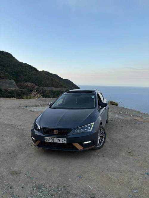 Seat Leon 2019 Urbain