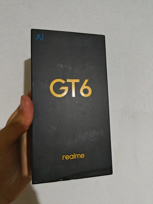 Realme Realme Gt 6 china (china)