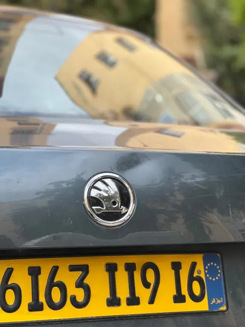 Skoda Octavia 2019 Business