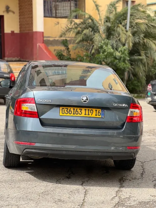 Skoda Octavia 2019 Business