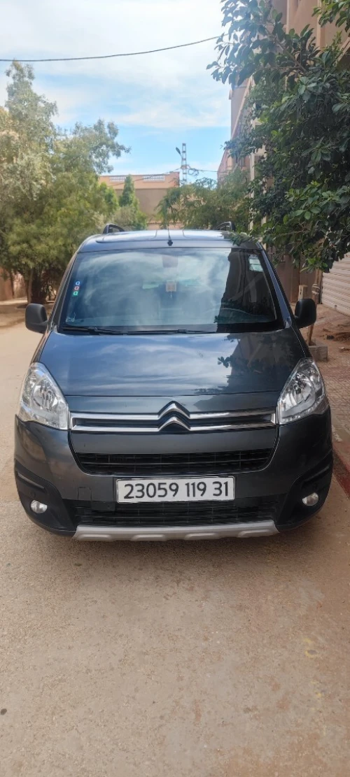 Citroen Berlingo 2019 Berlingo