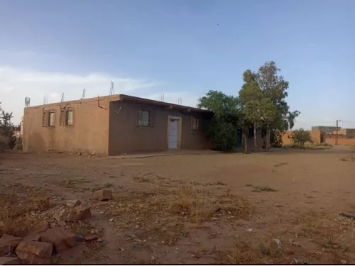 Vente Terrain Agricole El Bayadh El bayadh