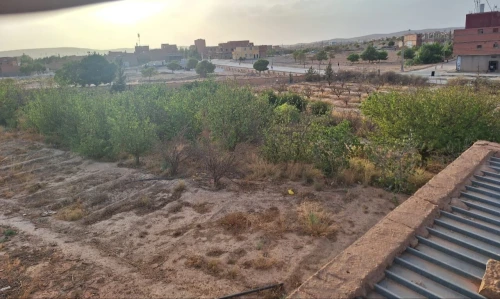 Vente El Bayadh El bayadh