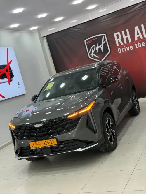 Geely Cityray  2025 10 th Anniversary champion edition 