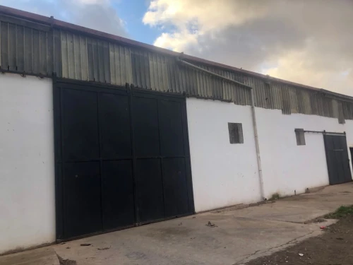 Location Hangar - Usine Oran Sidi chami