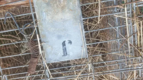 Batterie cage de lapin
