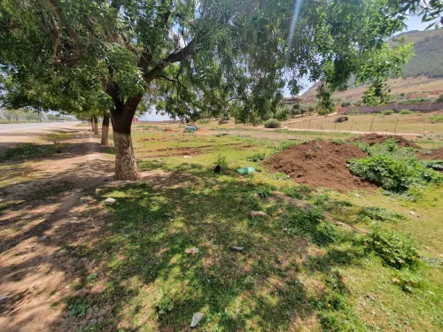 Vente Terrain Aïn Defla El attaf