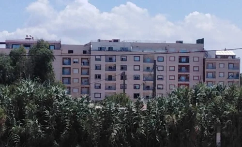 Location Appartement Studio Alger Bordj el kiffan