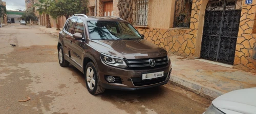 Volkswagen Tiguan 2014 Cup