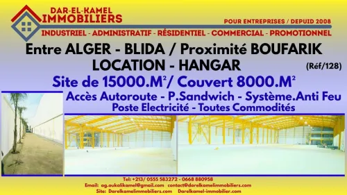 Location Hangar - Usine Blida Boufarik