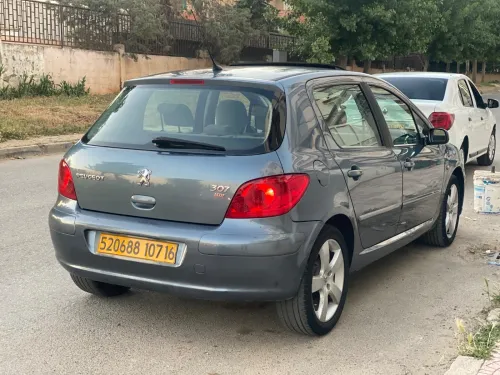 Peugeot 307 2007 Oxygo