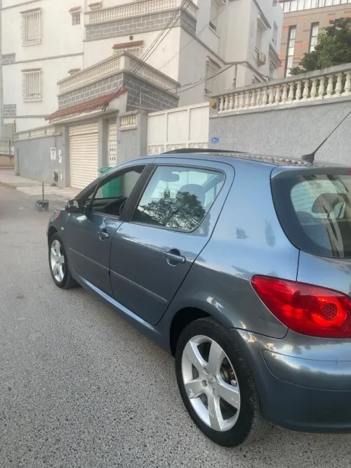 Peugeot 307 2007 Oxygo
