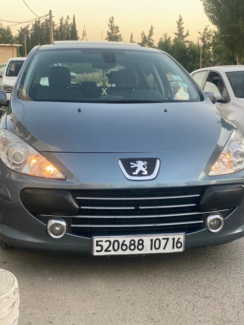 Peugeot 307 2007 Oxygo