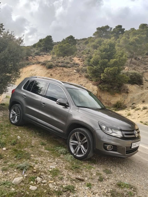 Volkswagen Tiguan 2014 Cup