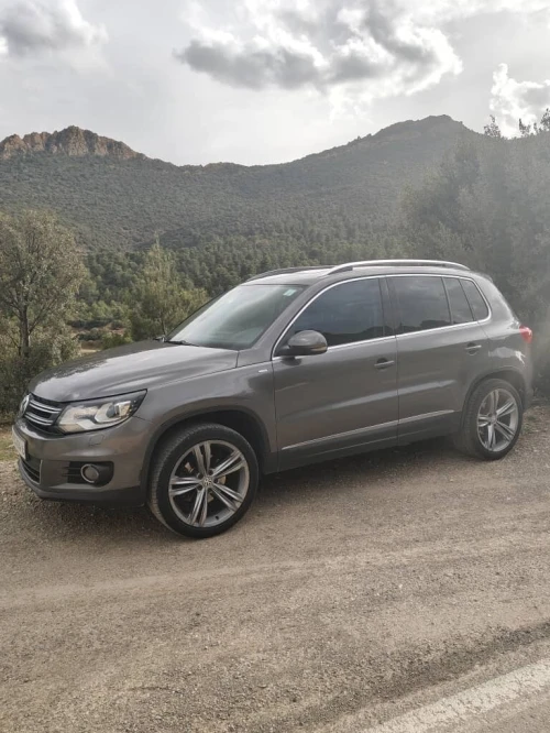 Volkswagen Tiguan 2014 Cup