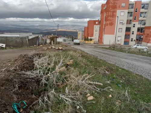 Vente Terrain Mila Mila