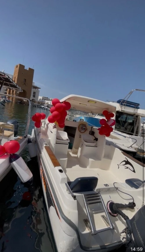 Bateau janneau