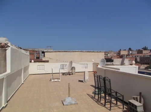 Location Local Tipaza Kolea