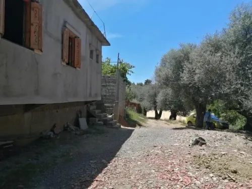 Vente Appartement F3 Jijel Chekfa