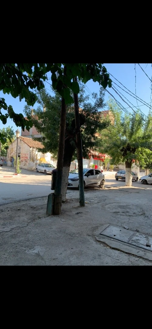 Location Local Boumerdès Thenia