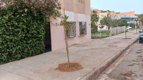 Vente Appartement F3 Mostaganem Sidi ali