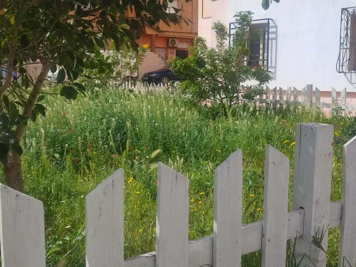 Vente Appartement F3 Mostaganem Sidi ali