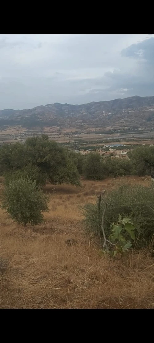 Vente Terrain Béjaïa Ouzellaguen