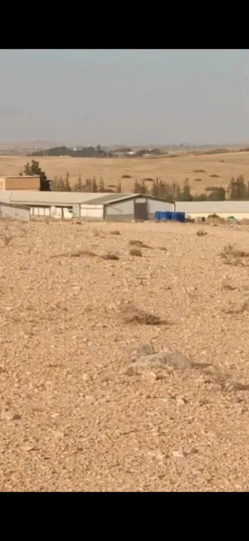 Vente Terrain Djelfa Benhar