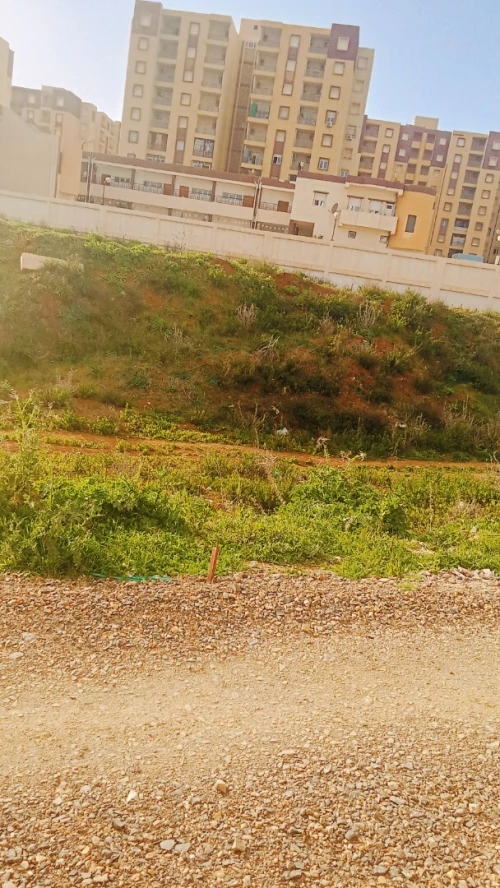 Vente Terrain Bouira Bouira