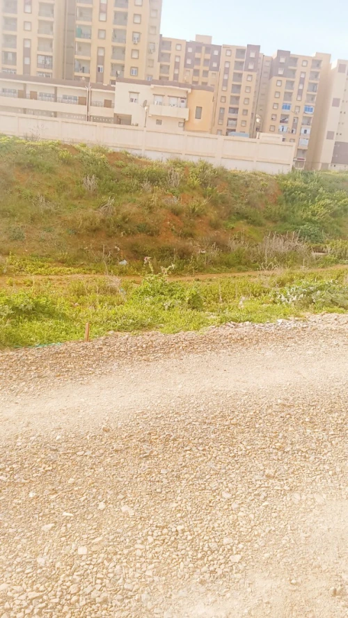 Vente Terrain Bouira Bouira