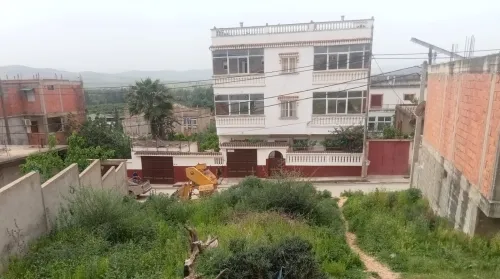Vente Terrain Skikda Djendel saadi mohamed