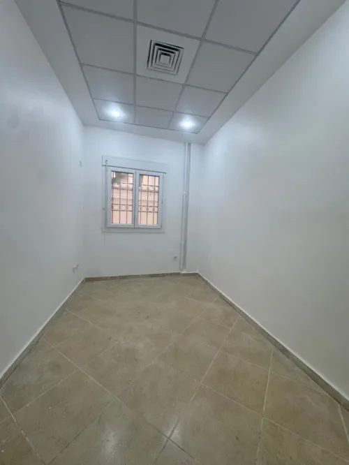 Location Immeuble Alger Said hamdine