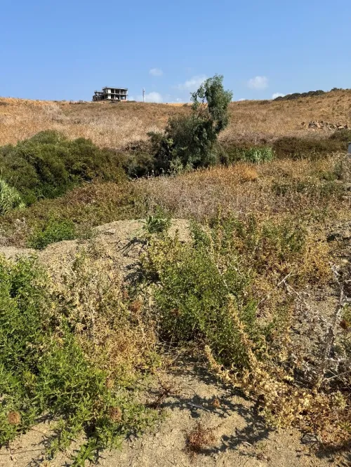 Cherche achat Terrain Boumerdès Dellys