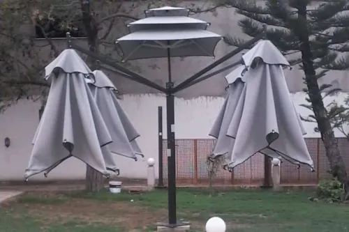 Parasol 